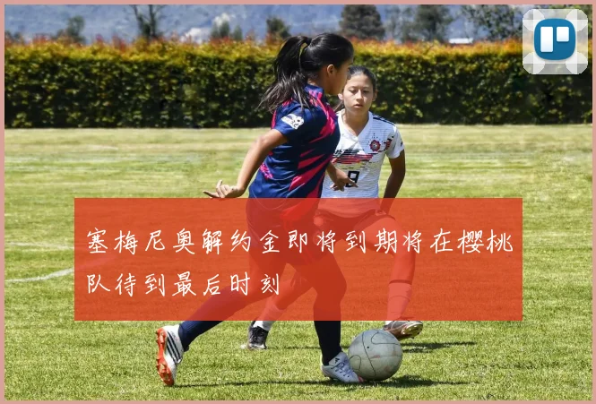 塞梅尼奥解约金即将到期将在樱桃队待到最后时刻