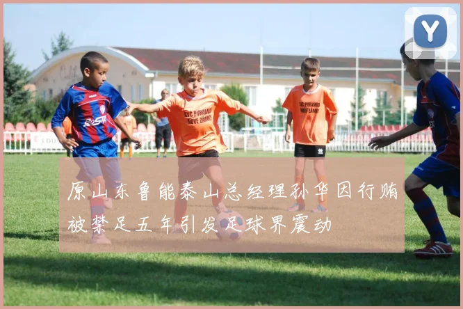原山东鲁能泰山总经理孙华因行贿被禁足五年引发足球界震动