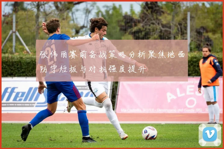 张伟丽赛前备战策略分析聚焦地面防守短板与对抗强度提升