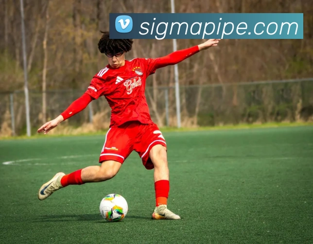 体育直播服务